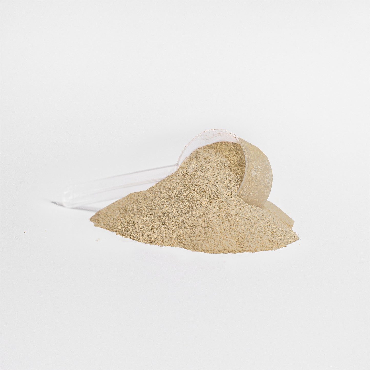 ISOFORGE (Vanilla):  Advanced 100% Whey Protein Isolate